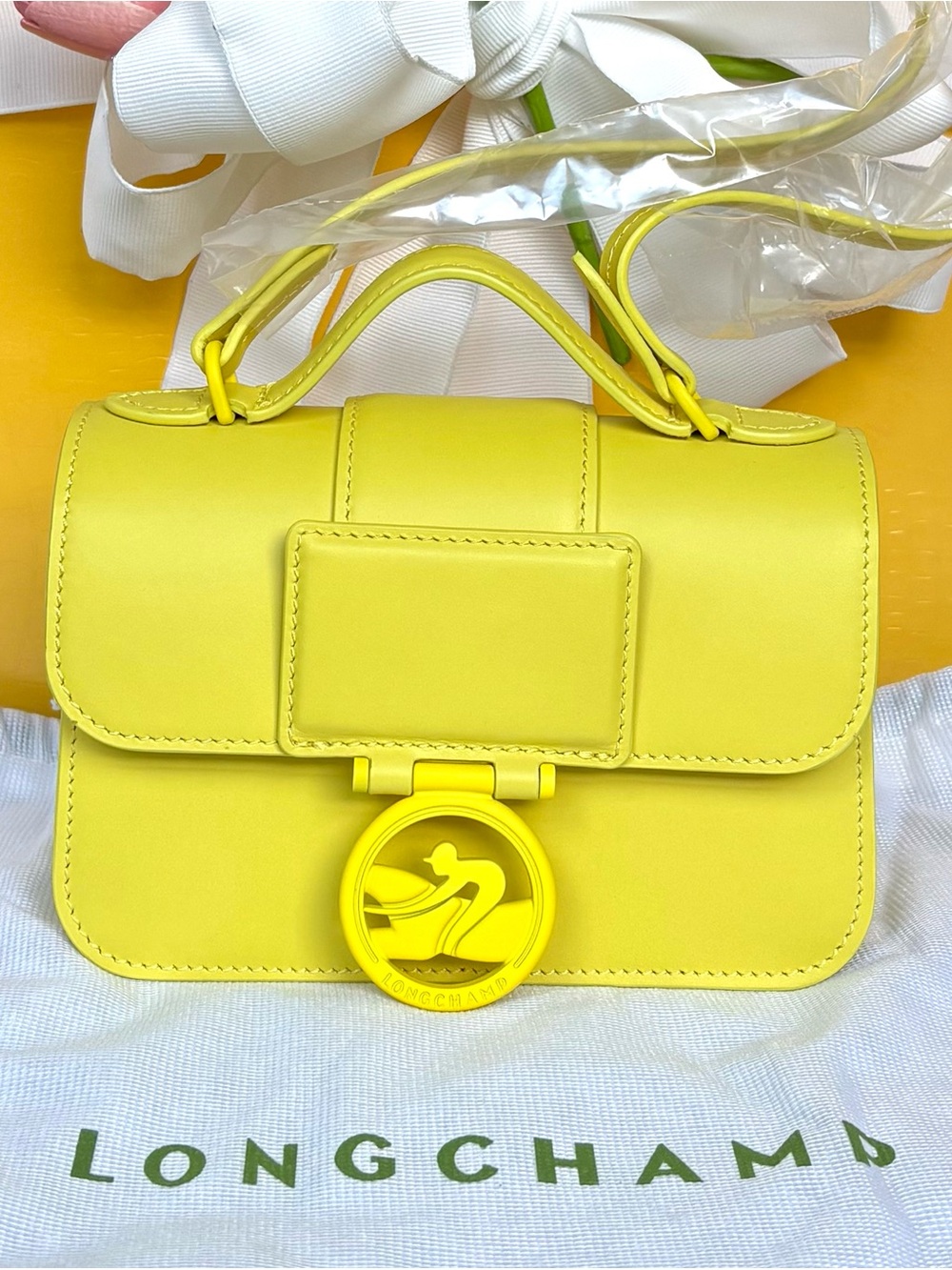 Longchamp Crossbody Bag